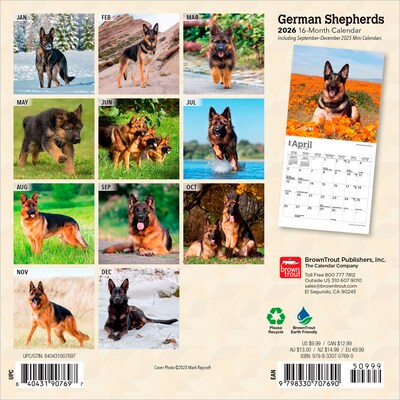 2026 BrownTrout German Shepherds 7 x 7 Monthly Wall Calendar (9798330707690)