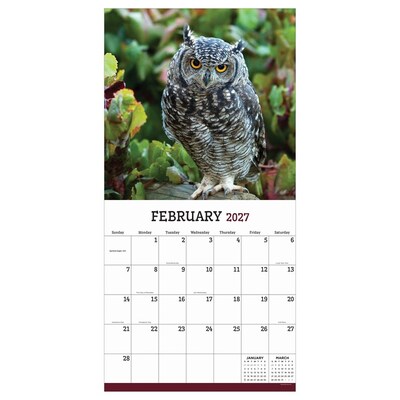 2027 TF Publishing Owls 11" x 12" Monthly Wall Calendar, Multicolored (27-1044)
