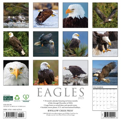 2025 Willow Creek Eagles 12 x 12 Monthly Wall Calendar (42786)