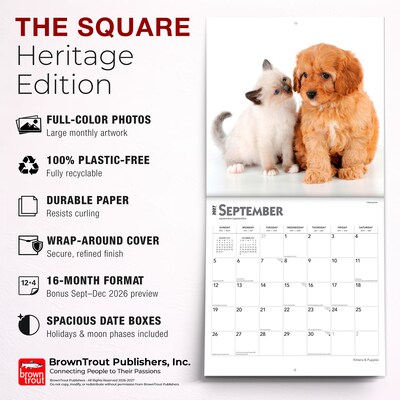 2027 BrownTrout Kittens & Puppies 12" x 12" Monthly Wall Calendar (9798330711796)