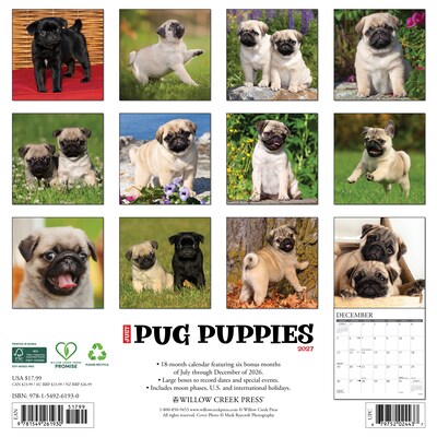 2027 Willow Creek Pug Puppies 12 x 12 Monthly Wall Calendar (61930)
