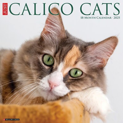 2025 Willow Creek Just Calico Cats 12 x 12 Monthly Wall Calendar (42090)