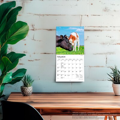 2027 BrownTrout Baby Moo Moos 7" x 7" Monthly Wall Calendar, Assorted Colors (9798330709779)