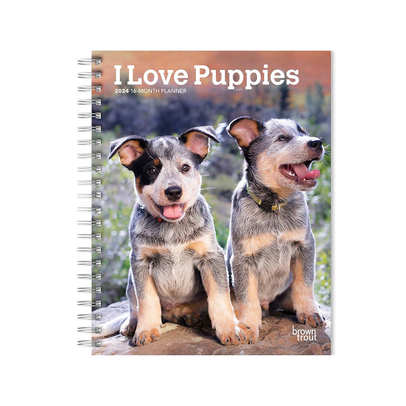 2024 BrownTrout I Love Puppies 6 x 7.75 Weekly & Monthly Engagement Planner, Multicolor (9781975468736)