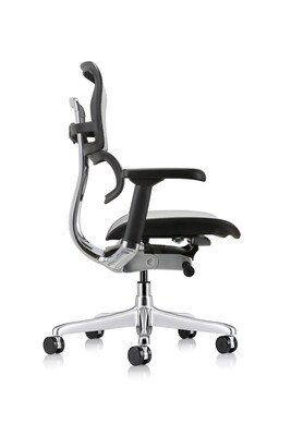 Eurotech Ergohuman Gen2 High Back Mesh Office Chair, Gray (ME8ERGLO-GEN2-GRY)