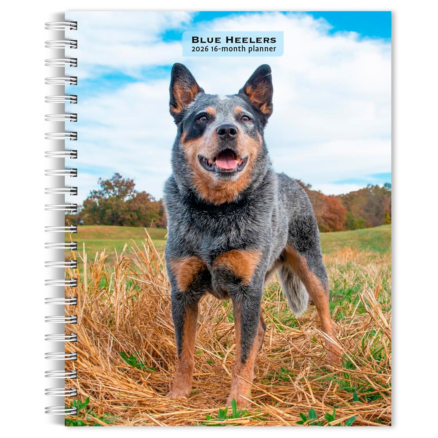 2026 BrownTrout Blue Heelers 6.5 x 7.75 Weekly Planner (9798330702503)