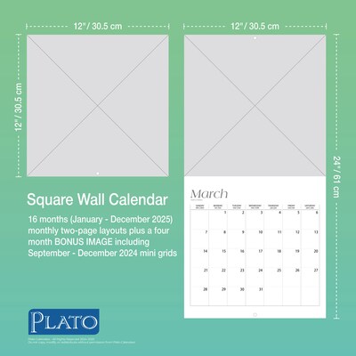 2025 Plato Outer Space 12" x 24" Monthly Square Wall Calendar, (9781975478858)