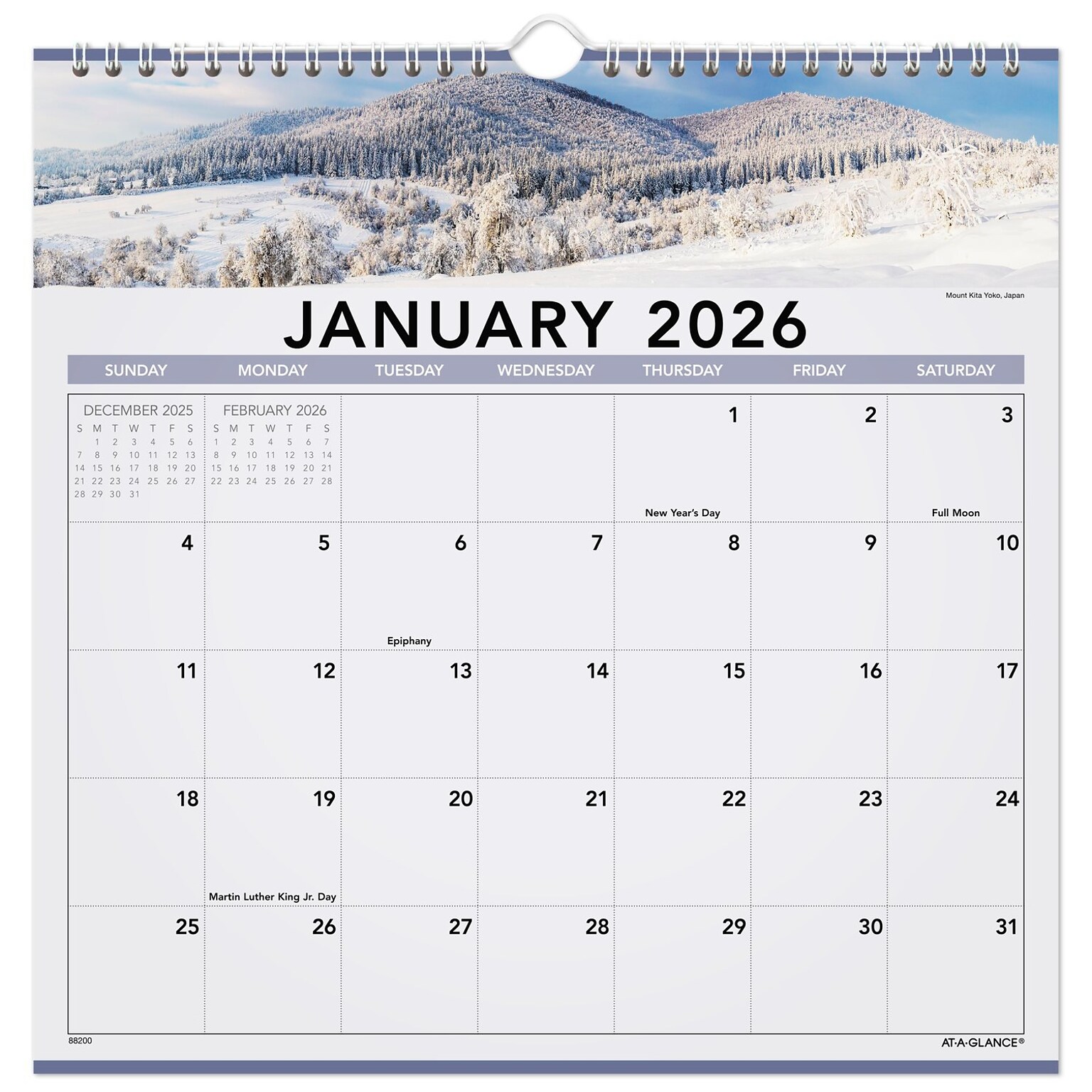 2026 AT-A-GLANCE Landscape 12 x 12 Monthly Wall Calendar, (88200-26)