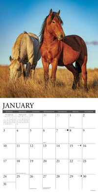 2027 Willow Creek Wild Horses 12" x 12" Monthly Wall Calendar, Assorted Colors (63019)