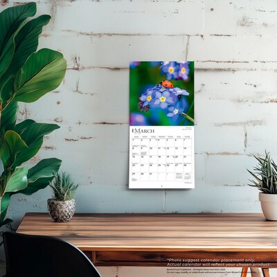 2026 BrownTrout Wildflowers 7" x 7" Monthly Wall Calendar (9798330706358)