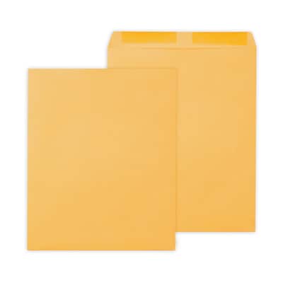 Staples Gummed Kraft Catalog Envelopes, 12 x 15.5, Brown, 100/Box (SPL534784)