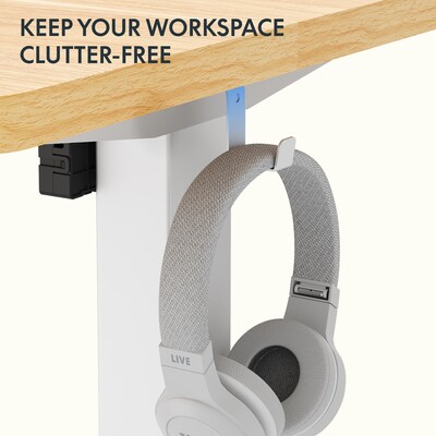 FlexiSpot E2 48''W Electric Rectangular Adjustable Standing Desk, Maple/White (E2W4824M)