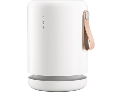 Molekule Air Mini+ True HEPA Tabletop Air Purifier, 5-Speed, White (MN2PH-US)