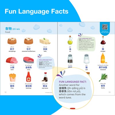 Rosetta Stone Paperback Traditional Mandarin Chinese Picture Dictionary Resource Book (201147)