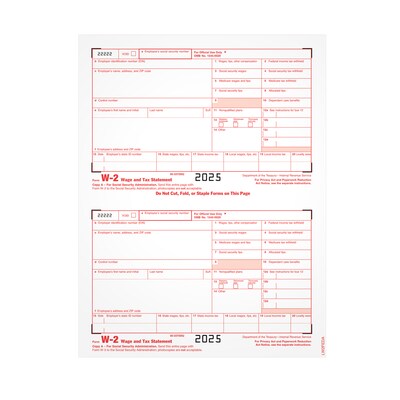 Adams 2026 W-2 Tax Form, 1-Part, Copy A, 50/Pack (LW2FEDAW3)