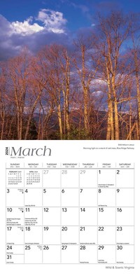 2024 BrownTrout Virginia Wild & Scenic 7" x 14" Monthly Wall Calendar (9781975465551)