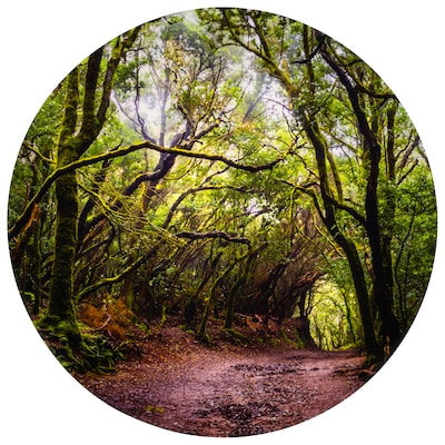 TickiT Forest Discovery Play Mat, Multicolored (CTU73562)