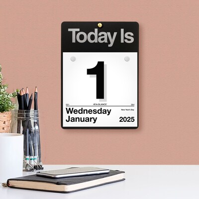 2027 AT-A-GLANCE Today Is 6.63 x 9.13 Daily Wall Calendar, White/Black (K1-00-27)