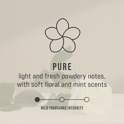 Rubbermaid Commercial CirculAir 90 Solid Air Freshener & Deodorizer Refill, Pure Scent, 6/Carton (FG402498)