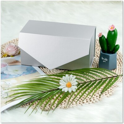 JAM Paper Gift Boxes, Silver (LA-9X4-BX-SLV)