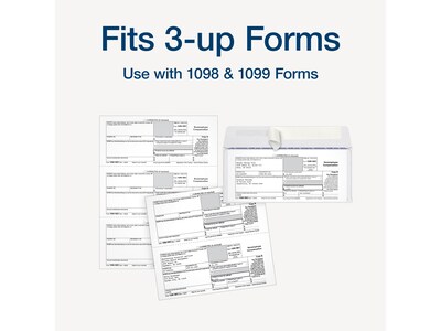 Adams 2024 Self-Seal Security-Tinted Double-Window 1099 Tax Envelope, 8.75" x 3.75", White, 25/Pack (STAX3-24)