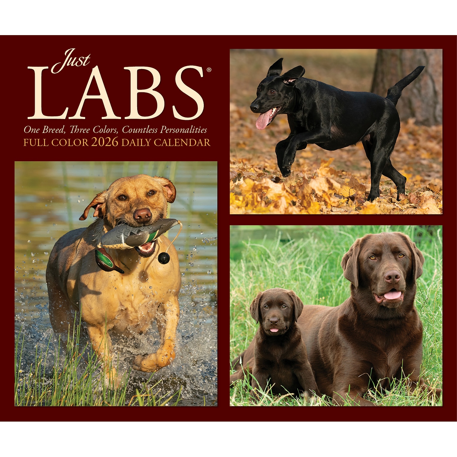 2026 Willow Creek Just Labs 6.2 x 5.4 Day-to-Day Calendar (54277)
