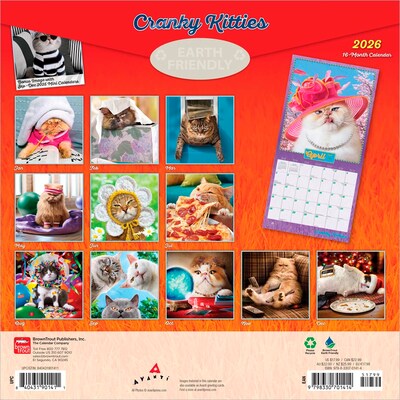 2026 BrownTrout Cranky Kitties 12 x 12 Monthly Wall Calendar (9798330701414)