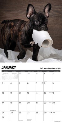 2027 Willow Creek Pardon My Frenchie 12" x 12" Monthly Wall Calendar, Assorted Colors (61725)