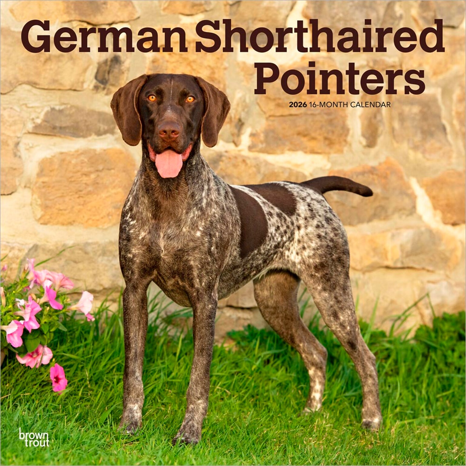 2026 BrownTrout German Shorthaired Pointers 12 x 12 Monthly Wall Calendar (9798330703401)