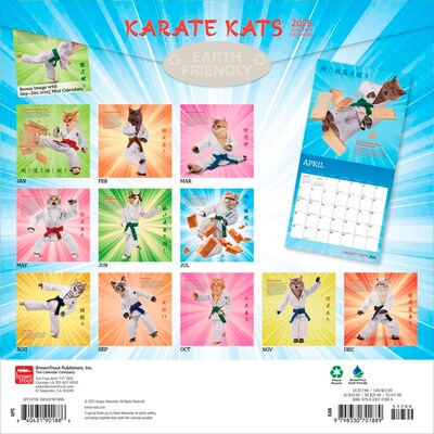 2026 BrownTrout Karate Cats 12 x 12 Monthly Wall Calendar (9798330701889)