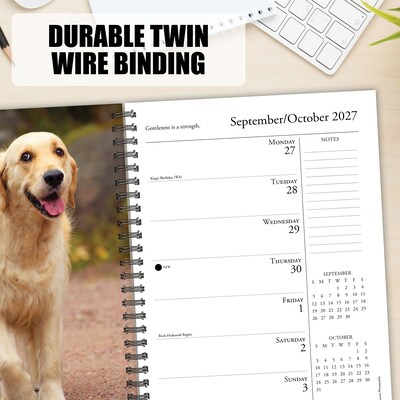 2027 Willow Creek What Goldens Teach Us 6.5" x 8.5" Weekly & Monthly Desk Calendar (64467)