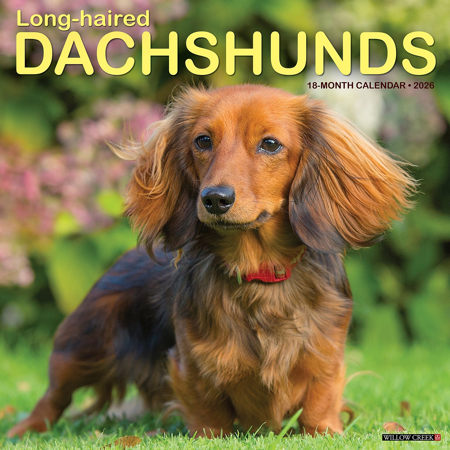 2026 Willow Creek Longhaired Dachshunds 12 x 12 Monthly Wall Calendar (55939)