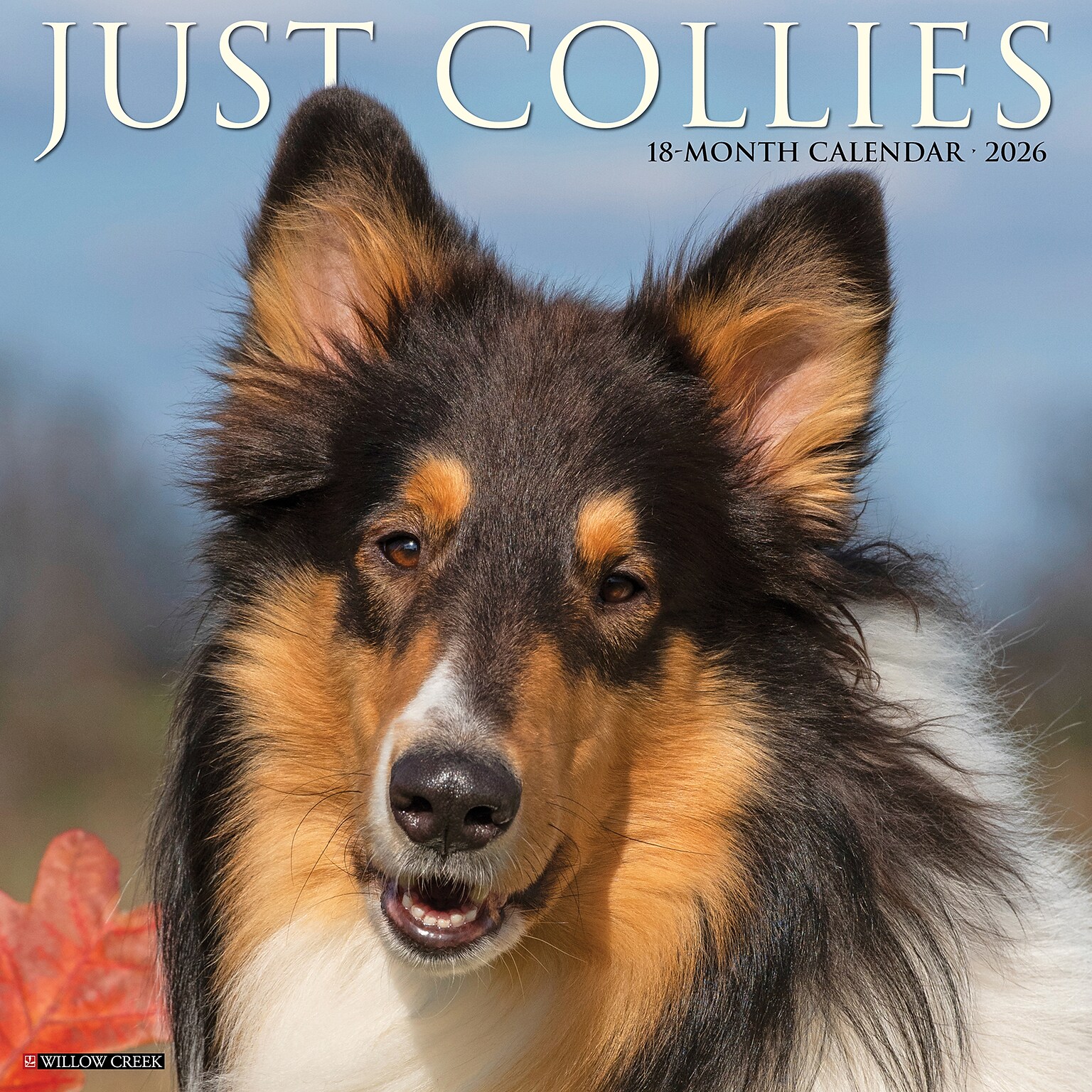 2026 Willow Creek Collies 12 x 12 Monthly Wall Calendar (50804)
