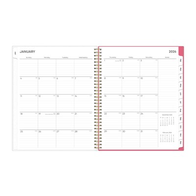 2026 Blue Sky Amalia 8.5" x 11"  Weekly & Monthly Planner, Plastic Cover, Multicolored (148767-26)