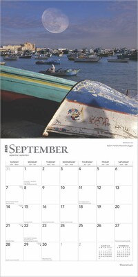 2025 BrownTrout Moonstruck 12" x 24" Monthly Square Wall Calendar (9781975477455)