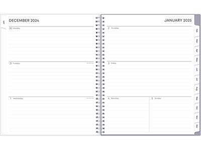 2025 Blue Sky Laila 8.5 x 11 Weekly & Monthly Planner, Plastic Cover, Multicolor (137273-25)
