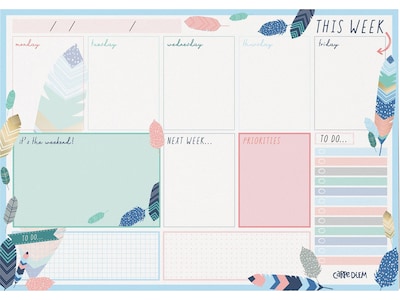 Carpe Diem Feathers 8.3 x 11.7 Weekly Planner, Multicolor (9219-CD)