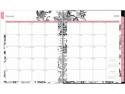 2024 Blue Sky Analeis 8 x 10 Monthly Planner, Multicolor (100004-24)