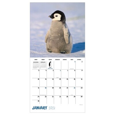 2027 TF Publishing Baby Animals 11 x 12 Monthly Wall Calendar (27-1000)