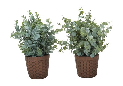 Monarch Specialties Inc. 13 Artificial Eucalyptus Grass Plant in Pot, 2/Set (I 9560)