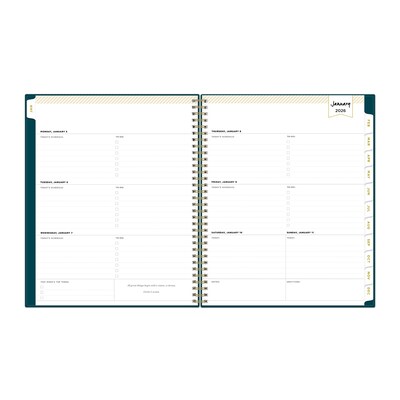 2026 Blue Sky Day Designer Peacock 8.5 x 11  Weekly & Monthly Planner, Plastic Cover, Multicolored (143889-26)
