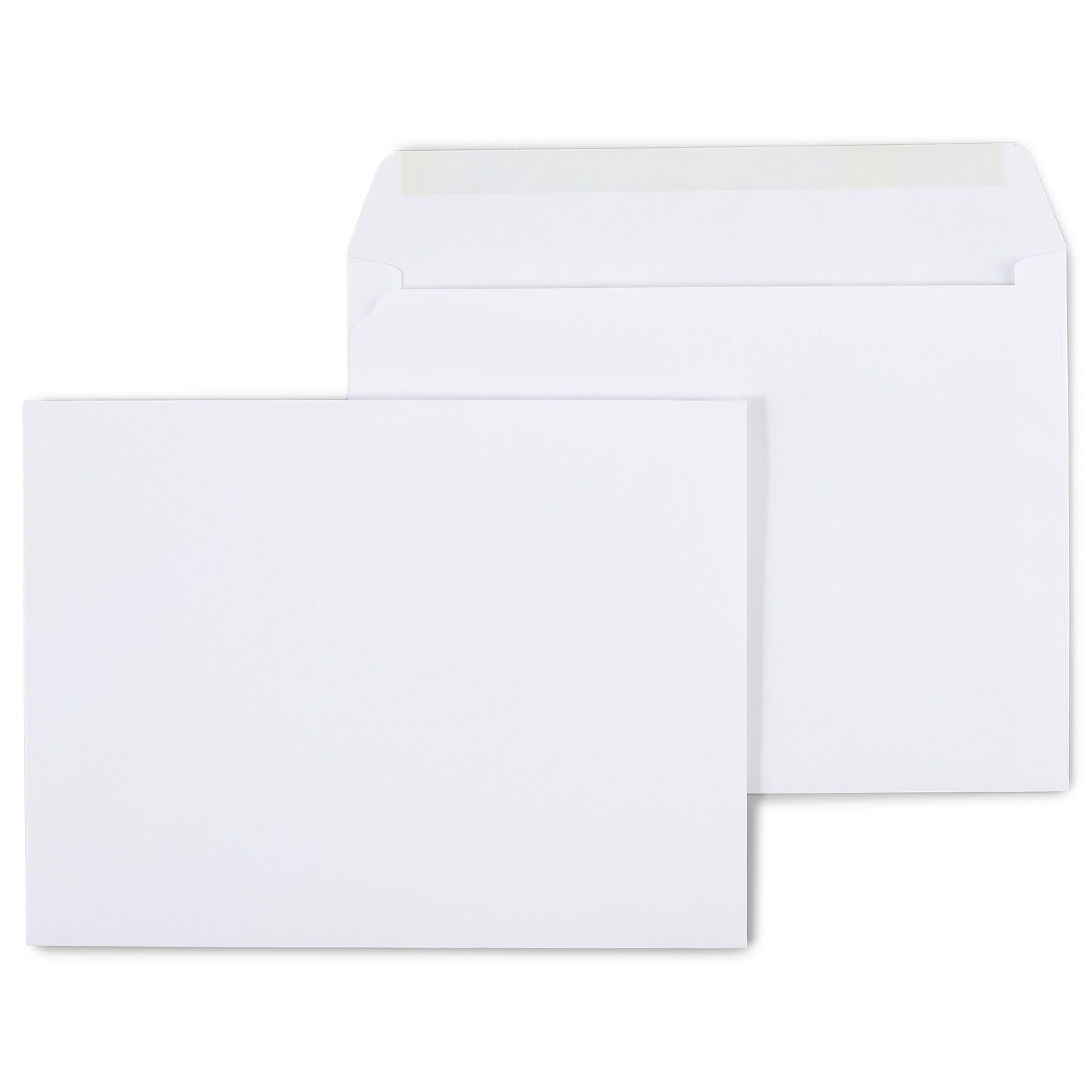 Staples Gummed Booklet Envelopes, 9 x 12, White, 100/Box (473009/19307)