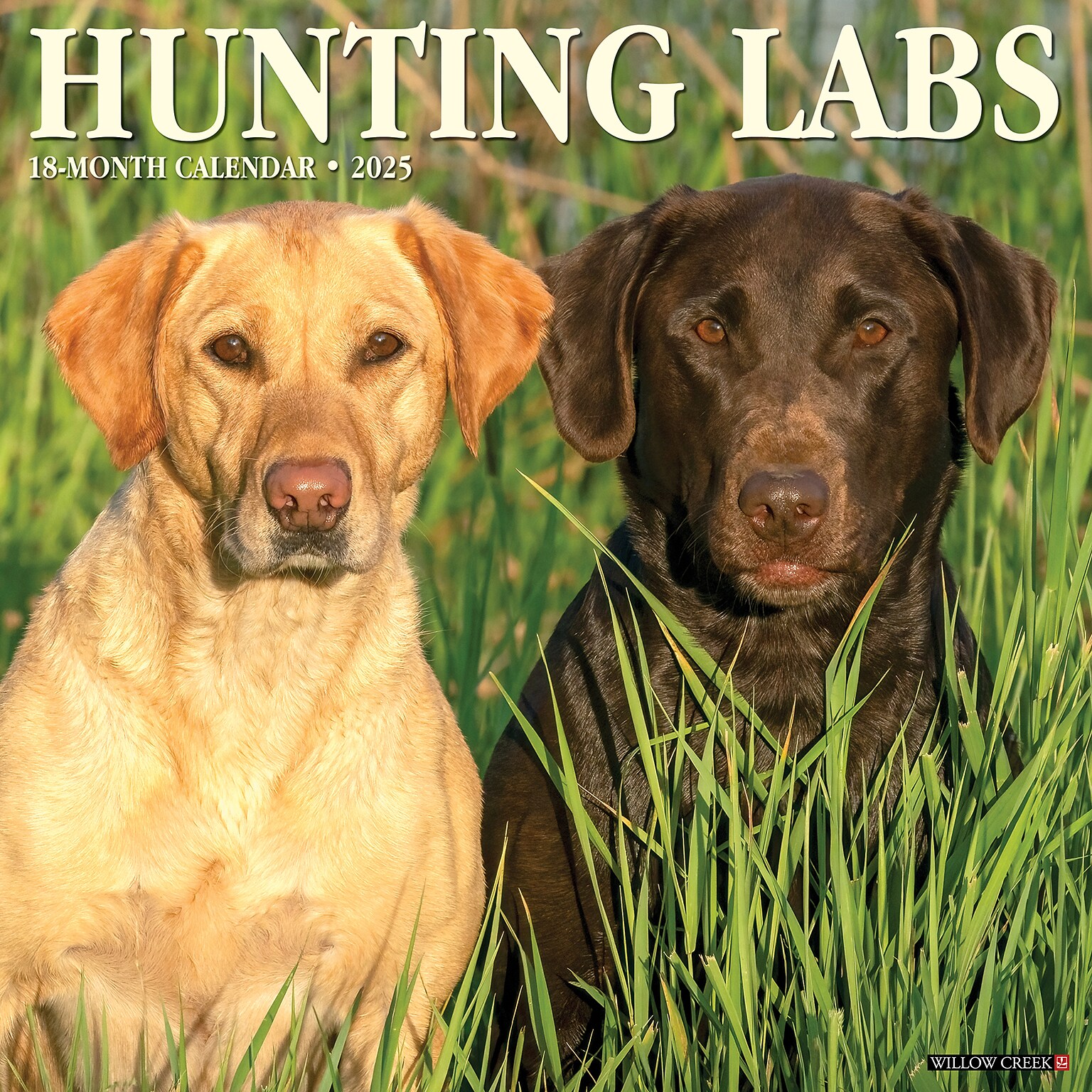 2025 Willow Creek Hunting Labs 12 x 12 Monthly Wall Calendar (43455)