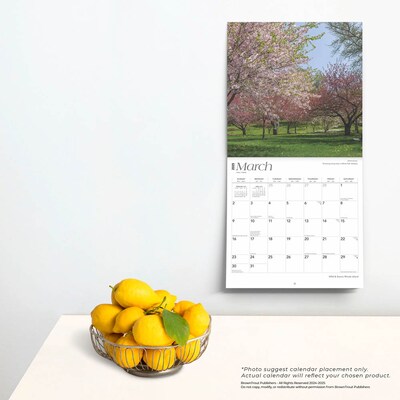 2025 BrownTrout Rhode Island Wild & Scenic 12" x 24" Monthly Square Wall Calendar, (9781975475611)
