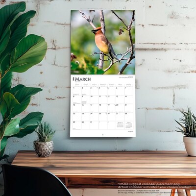 2026 BrownTrout Songbirds 12" x 12" Monthly Wall Calendar (9798330705634)