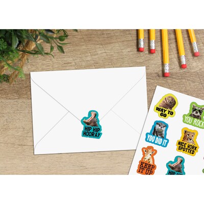 Teacher Created Resources Go Wild Animals Stickers, 72/Pack, 12 Packs/Bundle (TCR6855-12)
