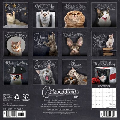 2025 Willow Creek Catspirations 12" x 12" Monthly Wall Calendar (42250)