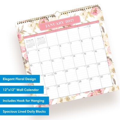 2027 Blue Sky 12 x 12 Monthly Wall Calendar, Pink/White (160210)