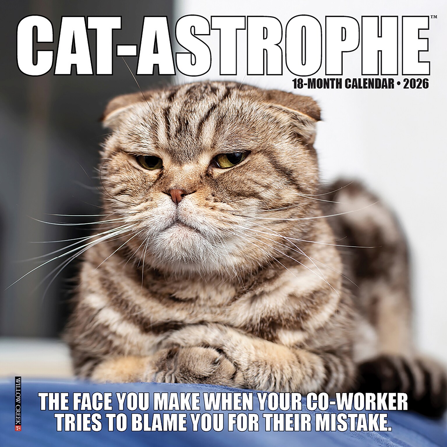 2026 Willow Creek Cat-astrophe 7 x 7 Monthly Wall Calendar (53492X)
