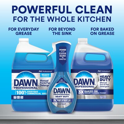 Dawn Professional Manual Pot and Pan Dish Soap, Original Scent, 1 Gal. (57445)